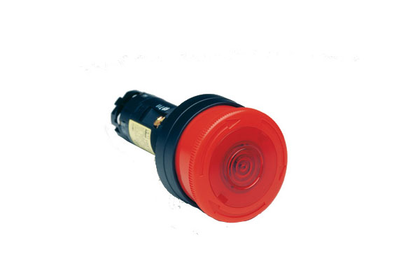 HW1E-TV4F02Q-R-12V